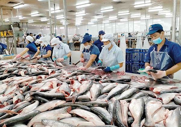 Doanh nghiệp xuất khẩu gặp khó: Quay về sân nhà cũng không d