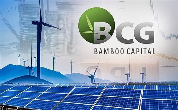 BCG: Người nhà lãnh đạo Bamboo Capital chỉ bán ra 80.000 tro