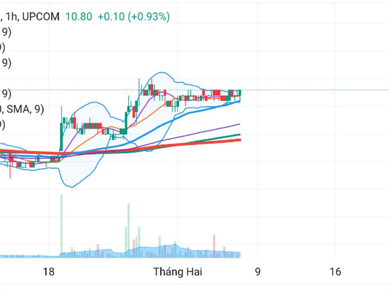 Trc khi x2 hay gặp chart này.