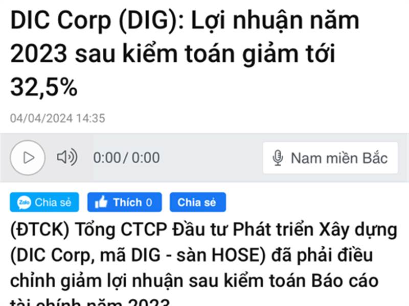 DIG 500k là rẻ rách, thế mà lợi nhuận sau kiểm toá...
