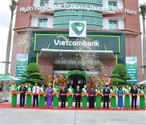 VCB: ĐHĐCĐ Vietcombank -  Dự kiến chuyển giao bắt buộc ngân hàng yếu kém năm 2024