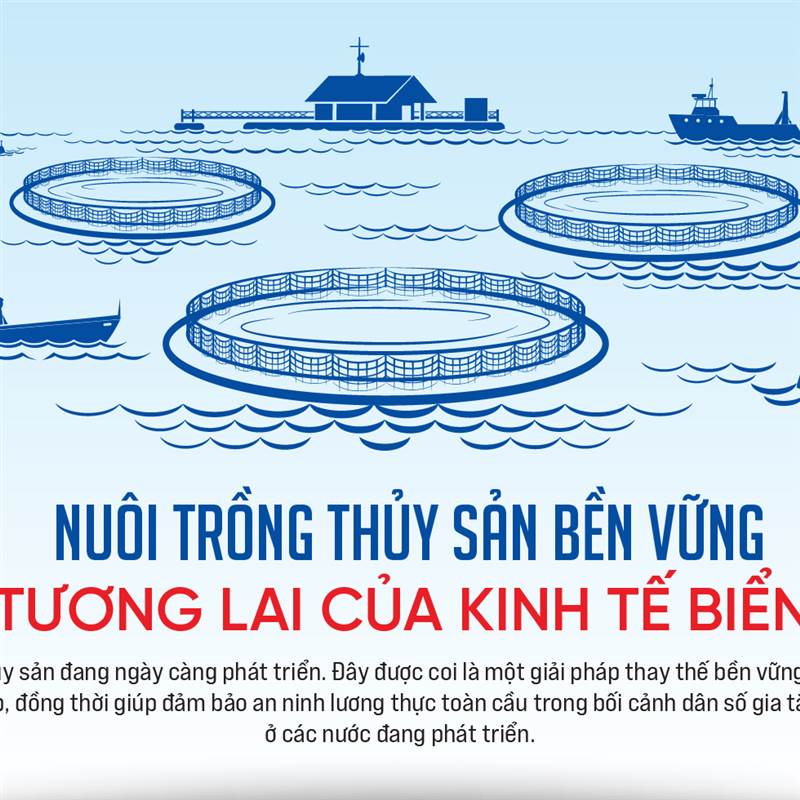 Nuôi trồng thủy sản bền vững: Tương lai của kinh tế biển