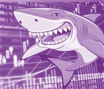 Dự báo Vn-Index vẫn còn một nhịp chỉnh mạnh, nhưng chuyên gia chỉ tên 11 cổ phiếu "cá mập" đã gom hàng