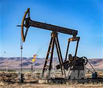 Đồn đoán Mỹ có thể bổ sung Kho dự trữ chiến lược đẩy giá dầu tăng cao