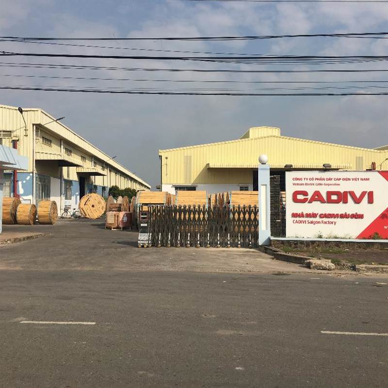 CAV: Chân dung tân Chủ tịch CADIVI