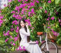Chứng khoán Việt Nam vào "mùa hoa bằng lăng" ?