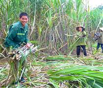 Chân dung cụ bà lớn tuổi nhất trên sàn chứng khoán Việt, cổ đông lớn của một loạt doanh nghiệp nổi tiếng