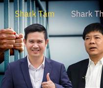 Cái kết buồn của "Song Shark"