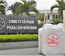 NFC: Lãi lớn hai quý đầu năm 2024