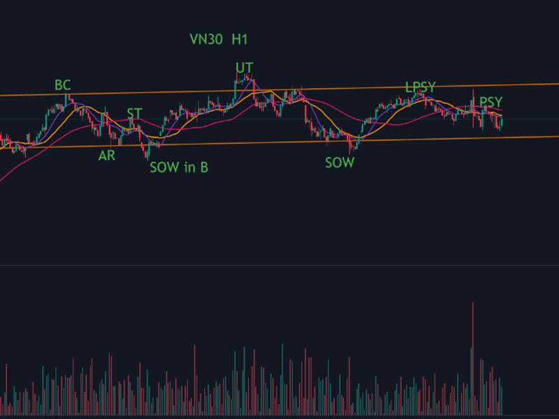 Distribution view VN30 H1