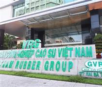 GVR: Sáu tháng đầu năm Tập đoàn Cao su Việt Nam hoàn thành hơn 40% kế hoạch