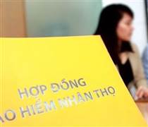 STB: Dai-ichi Life Việt Nam tăng trưởng thần tốc sau khi Sacombank phân phối độc quyền