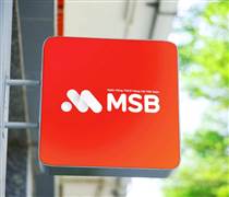 MSB: Sự góp mặt của các doanh nghiệp "họ" ROX Group tại MSB