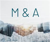 “Dậy sóng” M&A