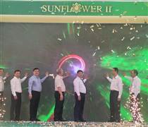 IJC: Công bố dự án Sunflower II Villa