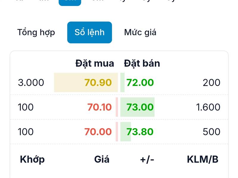 Con tmb này tháng 8/2023. Giá có 40k , p/e có 2,5 ...
