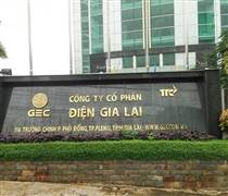 GEG: Điện Gia Lai phát hành thành công trái phiếu mới trị giá 200 tỷ đồng