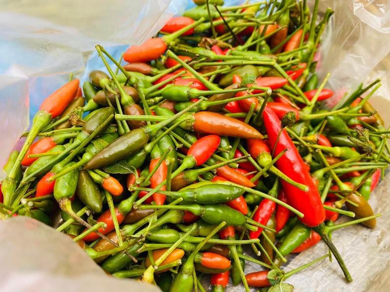 Xuất khẩu ớt sang thị trường Mỹ tăng mạnh 143%
