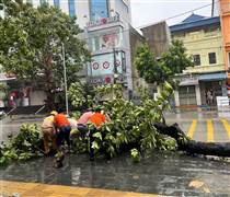 Tinh thần FPT rực sáng trong bão lũ