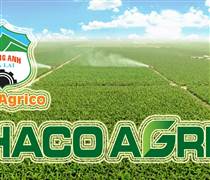 HNG: Hai “mảng màu” đối lập trên bức tranh kinh doanh của Thaco Agri và HNG