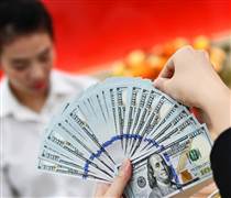 Giá USD tự do lao dốc về gần mốc 25.000 đồng