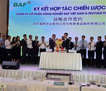 BAF:  Bắt tay với công ty Trung Quốc sở hữu “toà nhà nuôi heo 6 tầng” hiện đại nhất thế giới, kỳ vọng tiết kiệm 4 lần chi phí đất đai