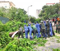 Cổ phiếu ngành bảo hiểm "lao đao" sau khi siêu bão Yagi đổ bộ, trong "nguy" có "cơ"?