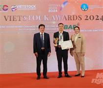 BAF Việt Nam được vinh danh 2 giải thưởng tại Vietstock Awards 2024