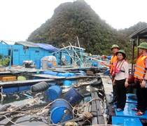 Siêu bão Yagi “thổi bay” lợi nhuận của nhiều doanh nghiệp