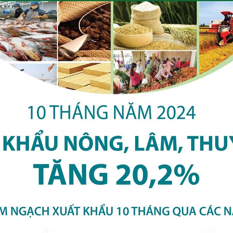 10 tháng năm 2024: Xuất khẩu nông, lâm, thủy sản tăng 20,2%