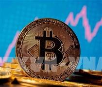 Bitcoin tiếp tục phi mã, lần đầu vượt mốc 95.000 USD