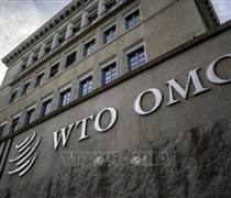 WTO: Tác động kép của AI đối với thương mại toàn cầu