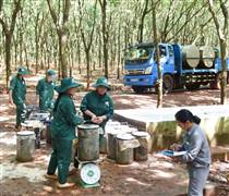 Tăng tốc thi đua hoàn thành kế hoạch