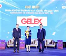 GEX: Vinh dự là Doanh nghiệp có thương vụ M&A tiêu biểu 2023-2024