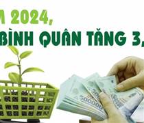 Infographics: CPI bình quân năm 2024 tăng 3,63%