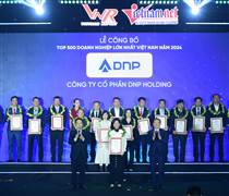 DNP Holding thuộc Top 500 doanh nghiệp lớn nhất Việt Nam 2024