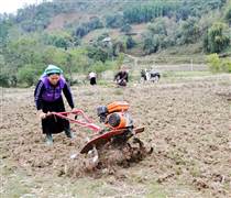 Hà Giang: Giá trị sản xuất nông, lâm nghiệp và thủy sản năm 2024 ước đạt gần 17 nghìn tỷ đồng