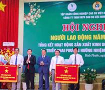 Tổng doanh thu Cao su Lộc Ninh năm 2024 đạt 1.010,57 tỷ đồng