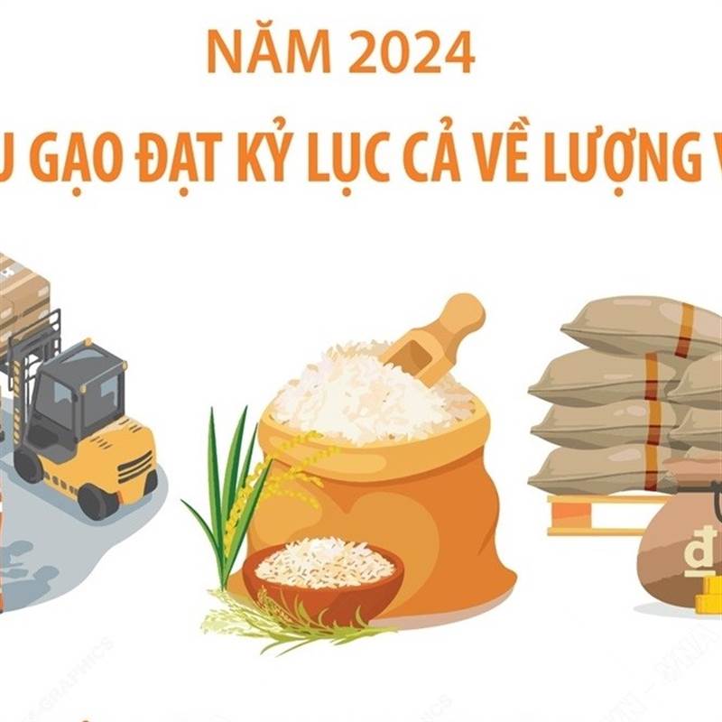 Xuất khẩu gạo đạt kỷ lục cả về lượng và giá trị