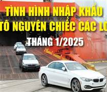 Infographics: Tình hình nhập khẩu ô tô nguyên chiếc các loại tháng 1/2025