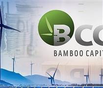 Loạt cổ phiếu “họ” Bamboo Capital thanh khoản đột biến, giảm mạnh sau tin 2 lô trái phiếu bị tạm ngưng giao dịch