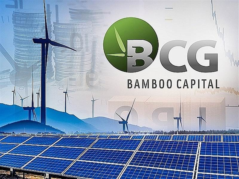 BCG: Các hoạt động của Công ty vẫn diễn ra bình thường