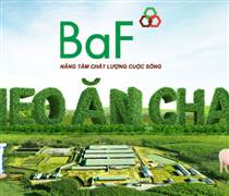 BAF: Cổ phiếu BAF còn tiềm năng sau khi tăng hơn 23%?