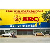 SRC: Vì sao Cao su Sao Vàng tăng 21% lợi nhuận sau kiểm toán?