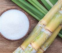 Rà soát áp dụng chống bán phá giá với đường mía xuất xứ từ Thái Lan