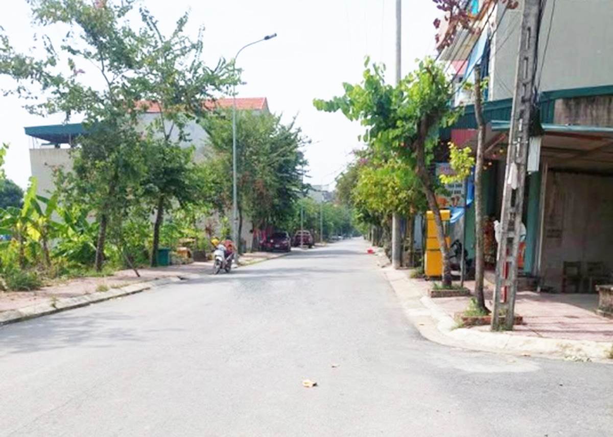 Bất động sản