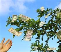 PTG: Cổ phiếu của doanh nghiệp có tỷ suất cổ tức cao nhất ‘đóng băng’ ở mức rẻ hơn cốc trà đá
