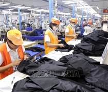 Doanh nghiệp khẩn trương thiết lập cơ chế thích ứng