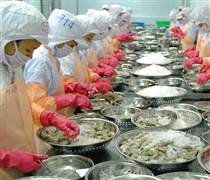 CMX: Lãnh đạo Camimex gửi tâm thư, tiết lộ doanh thu tăng gấp đôi