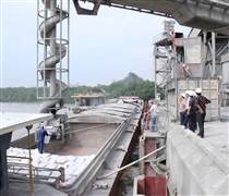 Doanh nghiệp vật liệu xoay xở với thuế quan mới